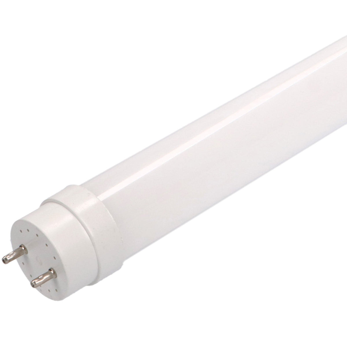 LongLife LED TL buis 120 cm met koud wit licht kopen? - LED.nl
